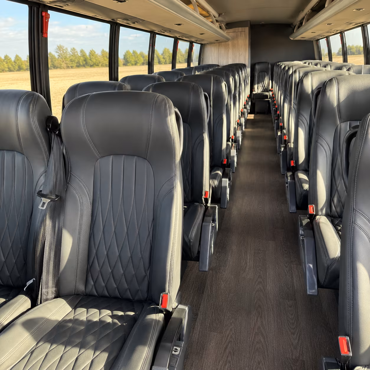 greenville make prom night memorable with greenville prom bus rentals