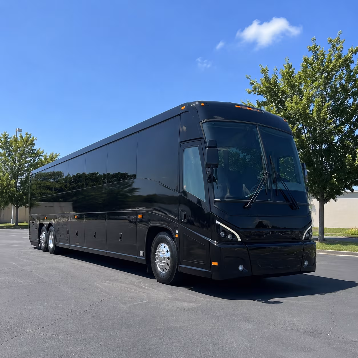 greenville plan your educational trip with a greenville charter bus rental